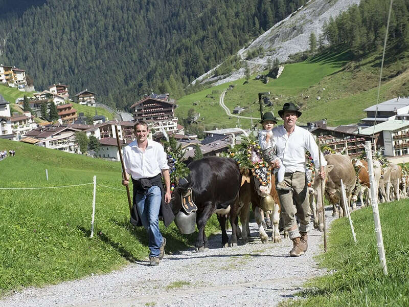 Almabtrieb der Kühe des Jenneweinhofs 