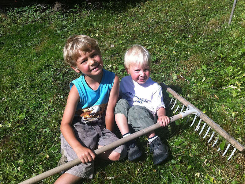 Kinder helfen beim Rechen auf der Wiese