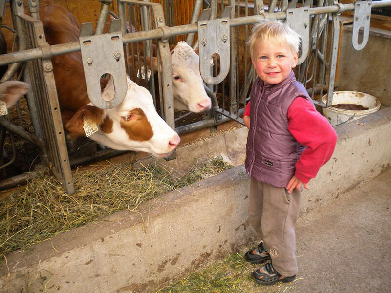 Kind bei den Kühen im Stall vom Bauernhof Jenneweinhof